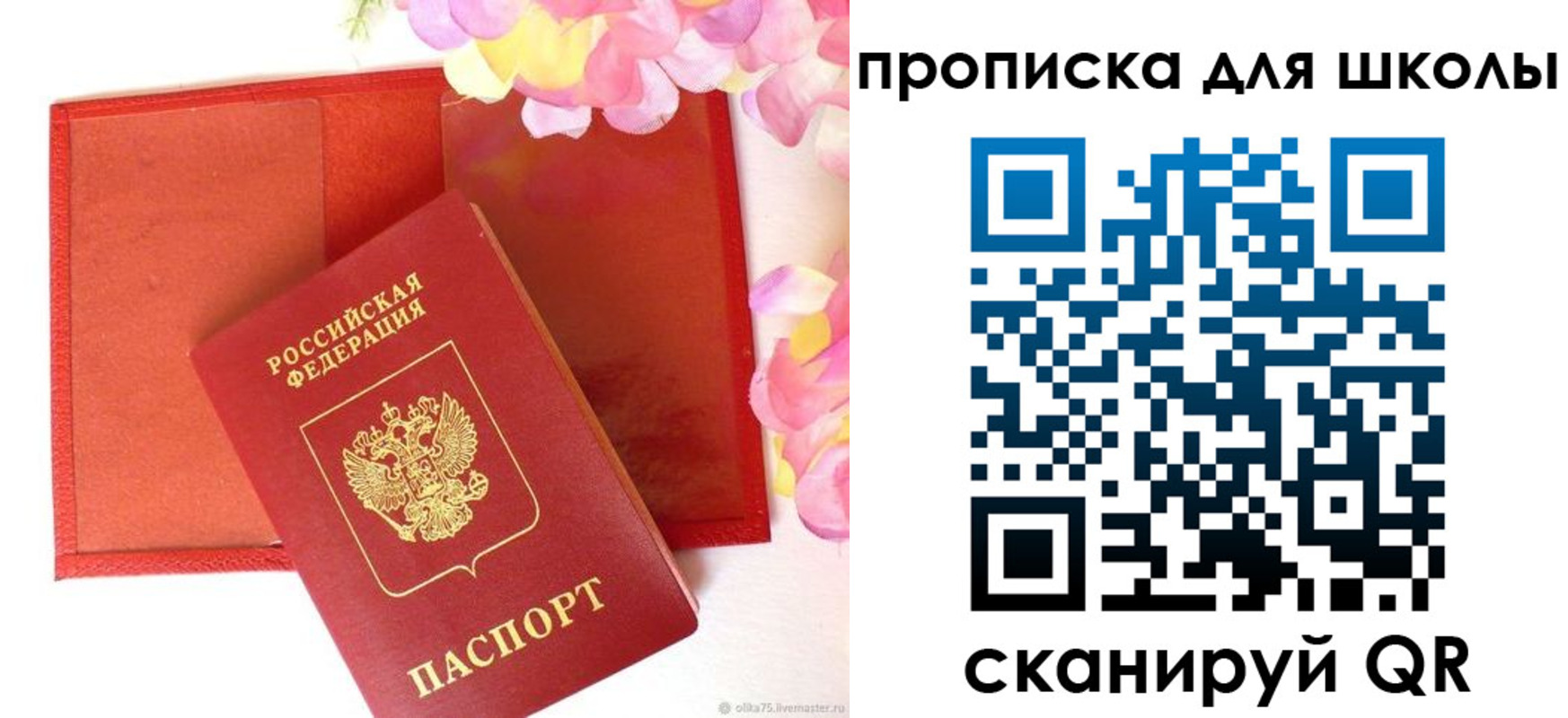 временная регистрация для всех в Коле